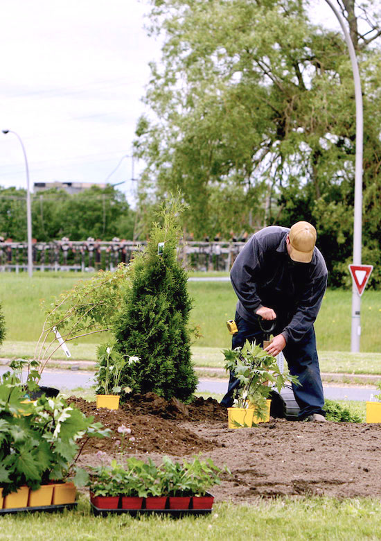 Commercial Landscaper Lancaster, CA | Commercial Landscaping ...